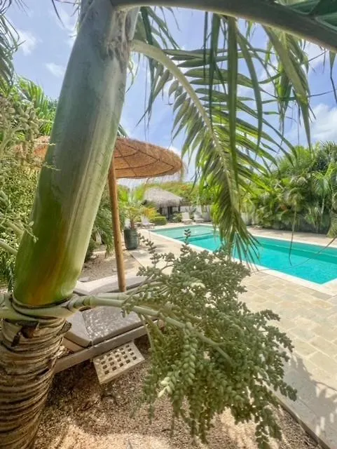Puur Bonaire Aparthotel Belnem Bonaire, Sint Eustatius en Saba